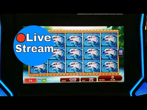 Stream Spiel Casino - 75465